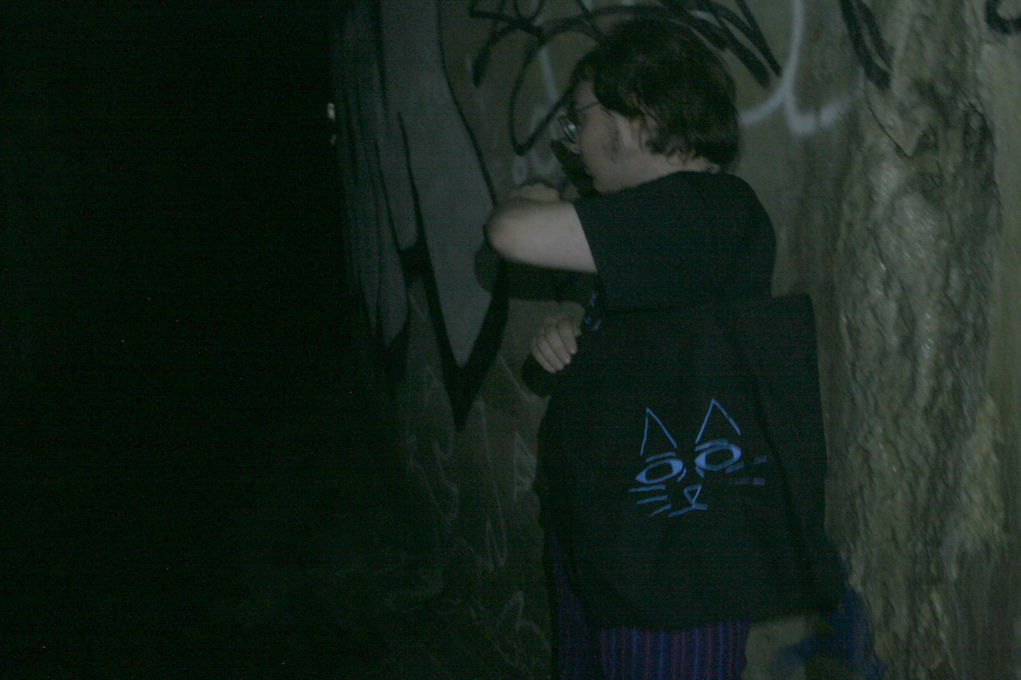 Mr Print (the Two Thirty Screenprinting cat) logo tote