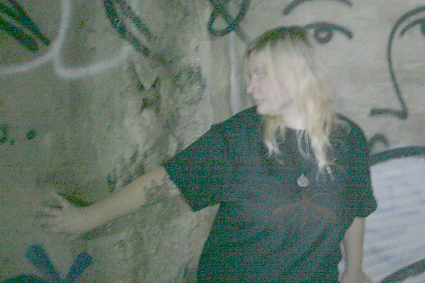 Crane Fly T shirt